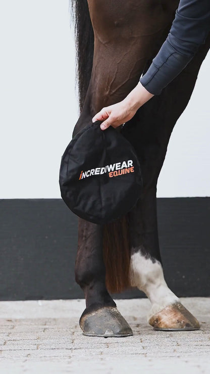 Incrediwear Equine Circulation Hock Sleeves