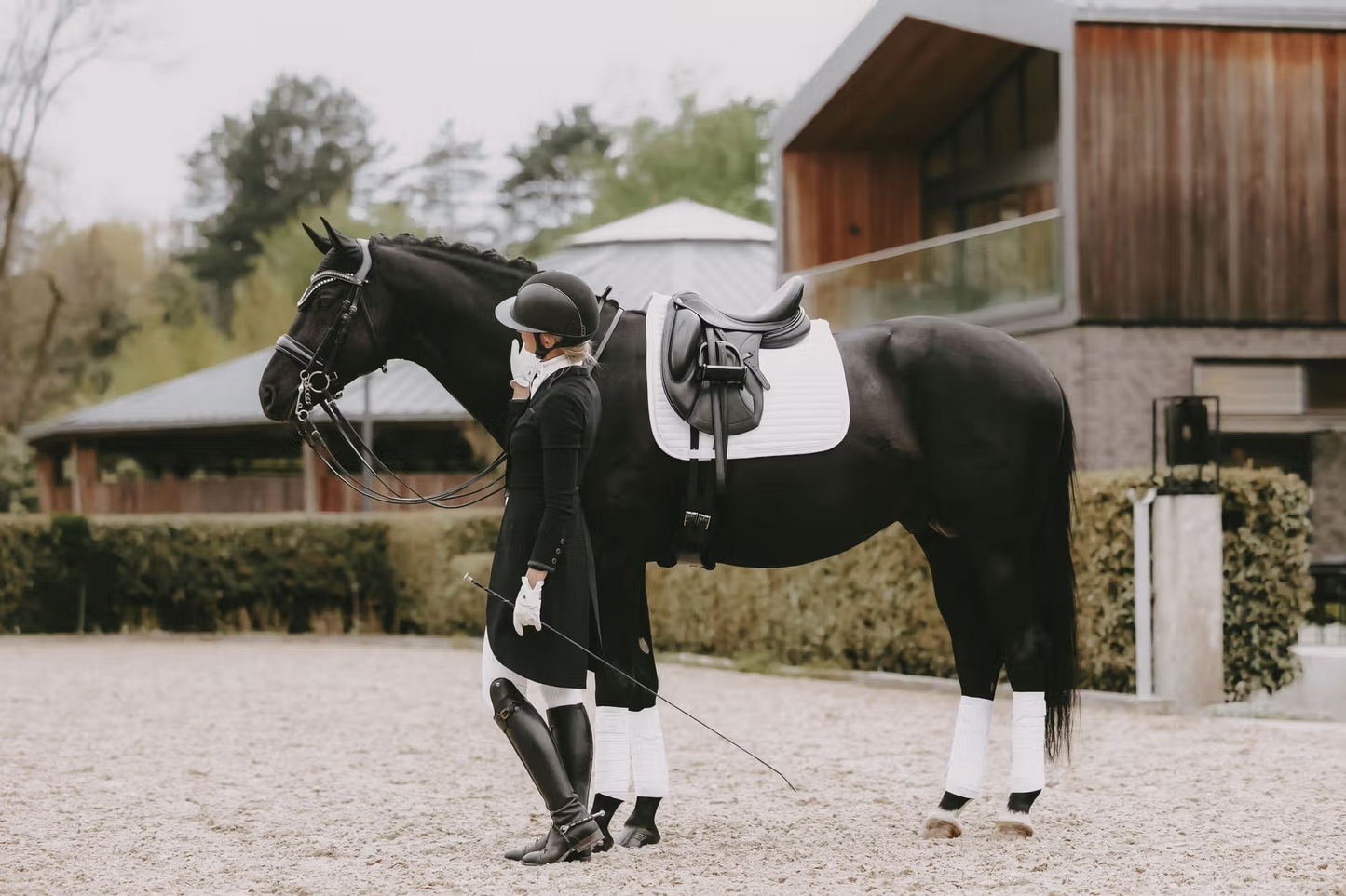 Kentucky Saddle Pad Pearls Dressage Show | White