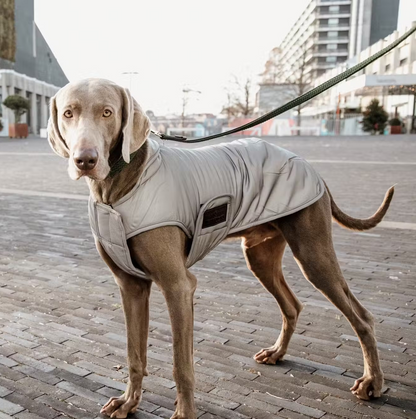 Kentucky Dog Coat Reflective & Water Repellant 150g