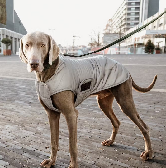 Kentucky Dog Coat Reflective & Water Repellant 150g