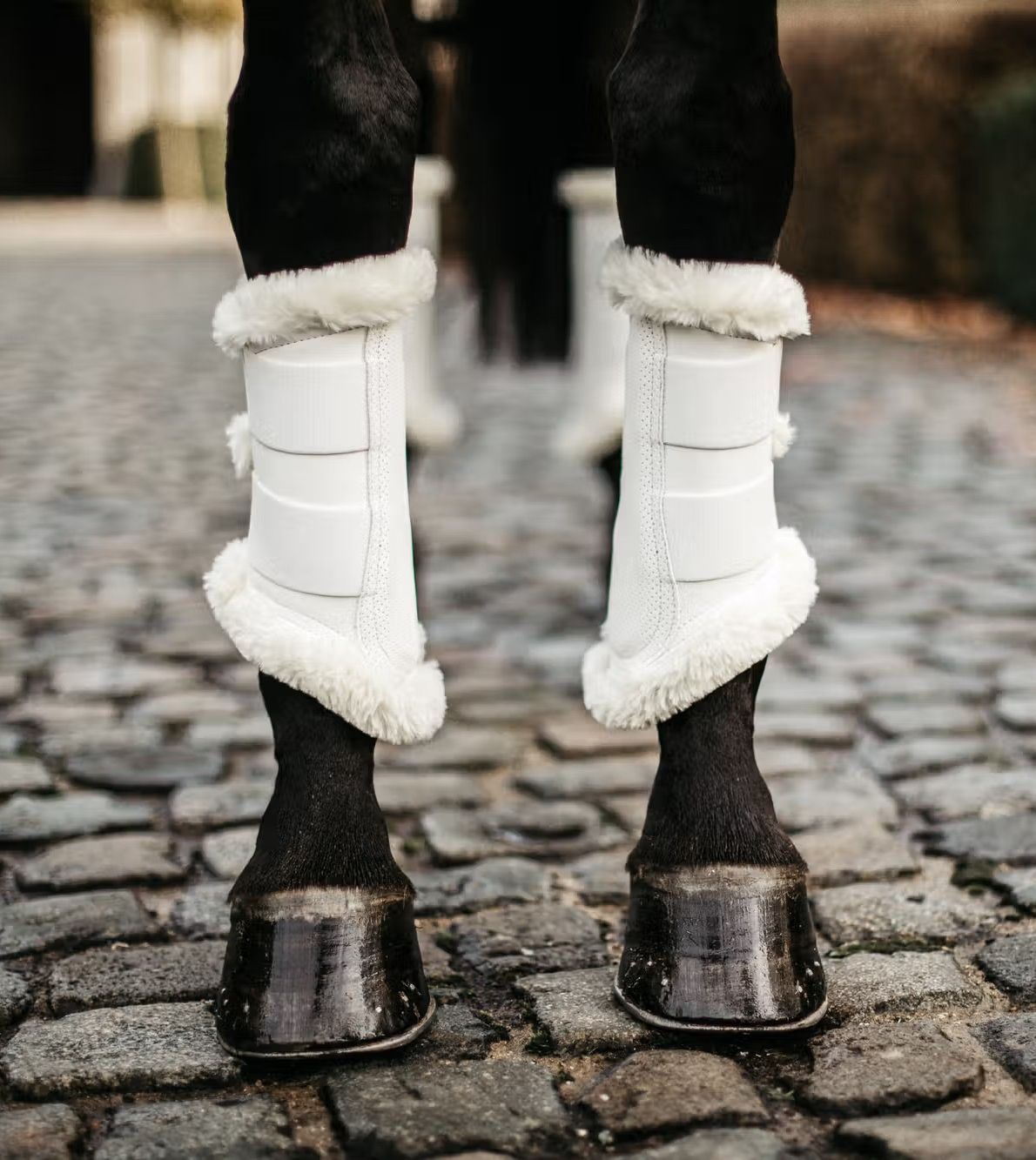 Kentucky Brushing Boots Air | White