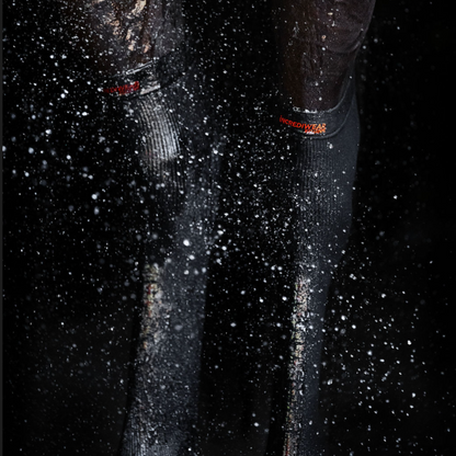 Incrediwear Equine Circulation Hock Sleeves