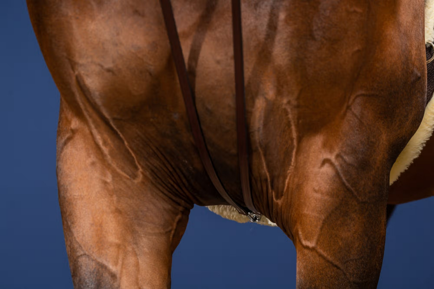 Dy'on US Collection 1/2" Full Leather Draw Reins