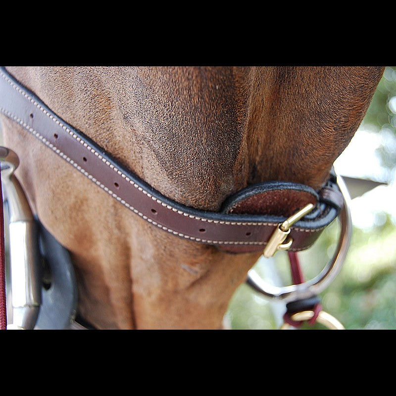 Dy'on D Collection Anatomic Flash Noseband Bridle