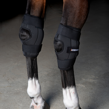 Incrediwear Equine Circulation Hock Boots | Pair