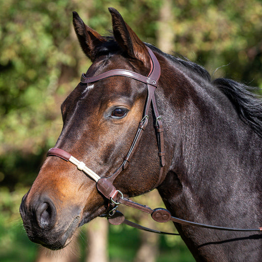 Dy'on La Cense Bitless Bridle