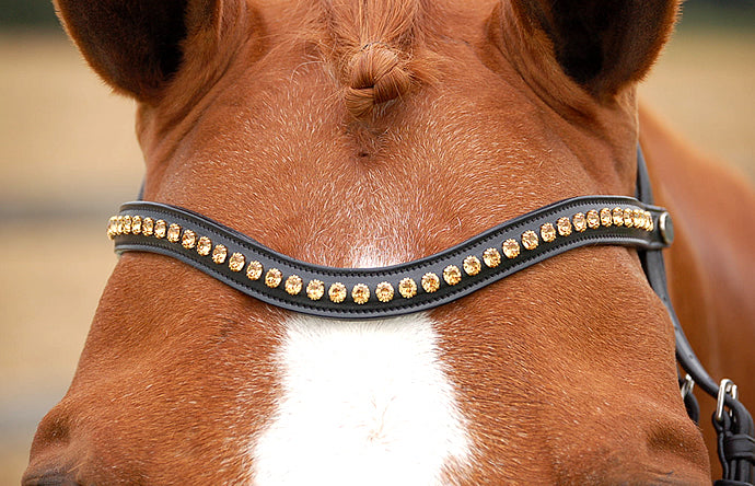 Swarovski crystal discount browbands horse