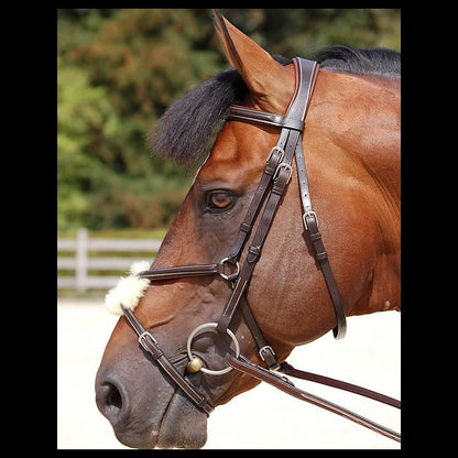 Dy'on Working Collection Classic Figure 8 Noseband Bridle