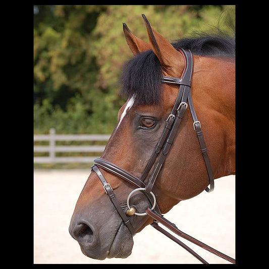 Dy'on Working Collection Classic Flash Bridle