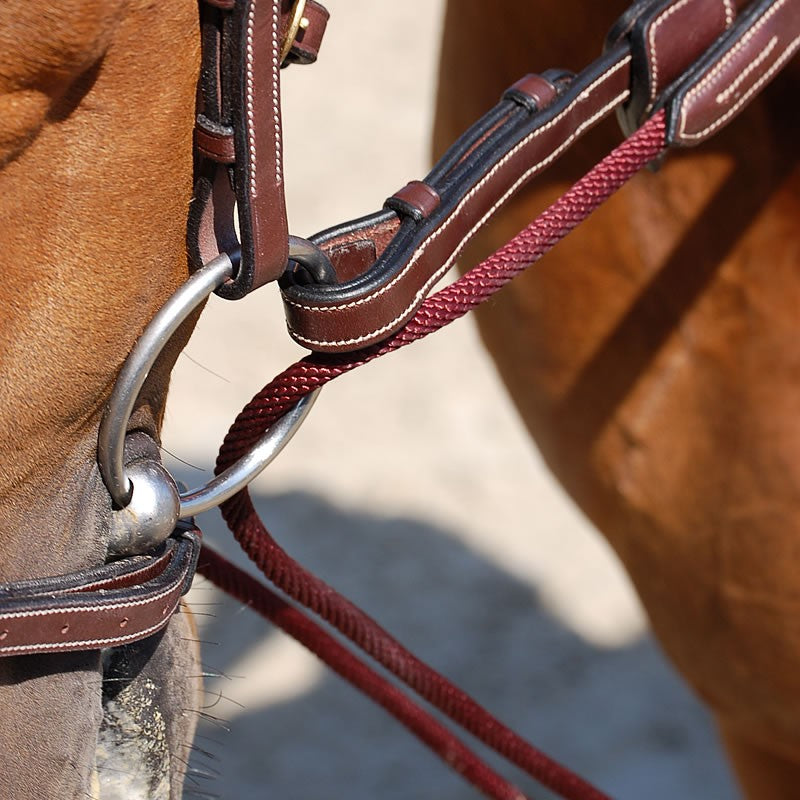 Dy'on Working Collection Leather/Rope Draw Reins