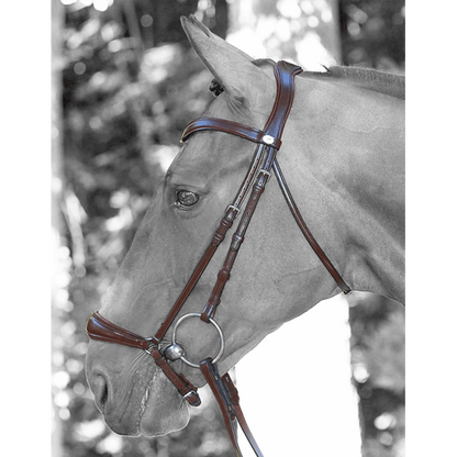 Dy'on Drop Noseband Flat Leather Dressage Bridle