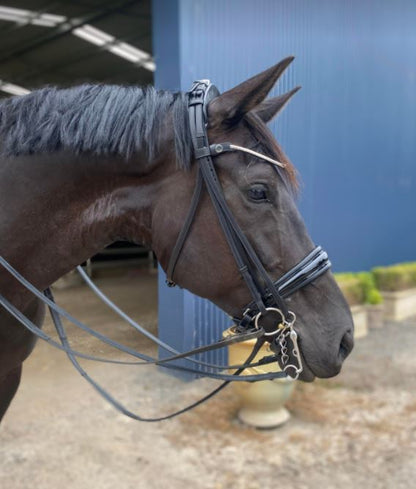 Finesse Double Bridle | Black Leather with Silver Clincher Browband FLAT Leather Cayenne