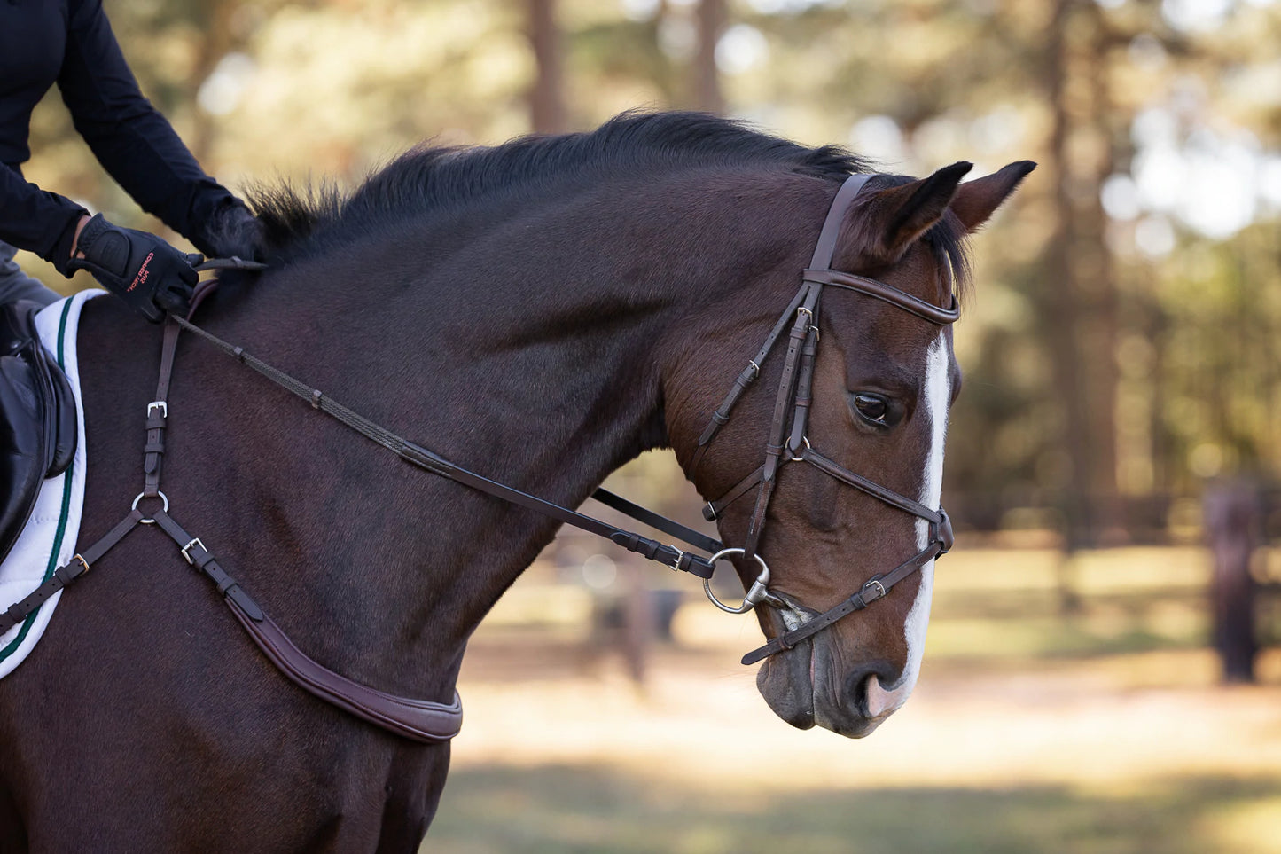 Correct Connect Free Motion Breastplate