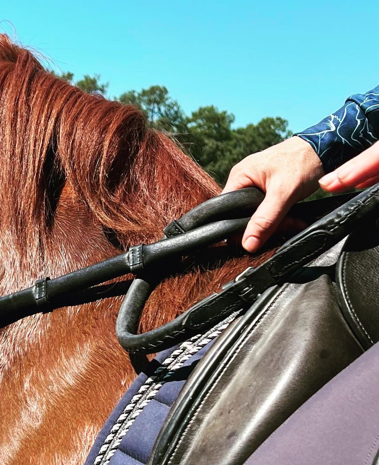 Correct Connect Correct Connect ™ – Horse Fashion Australia