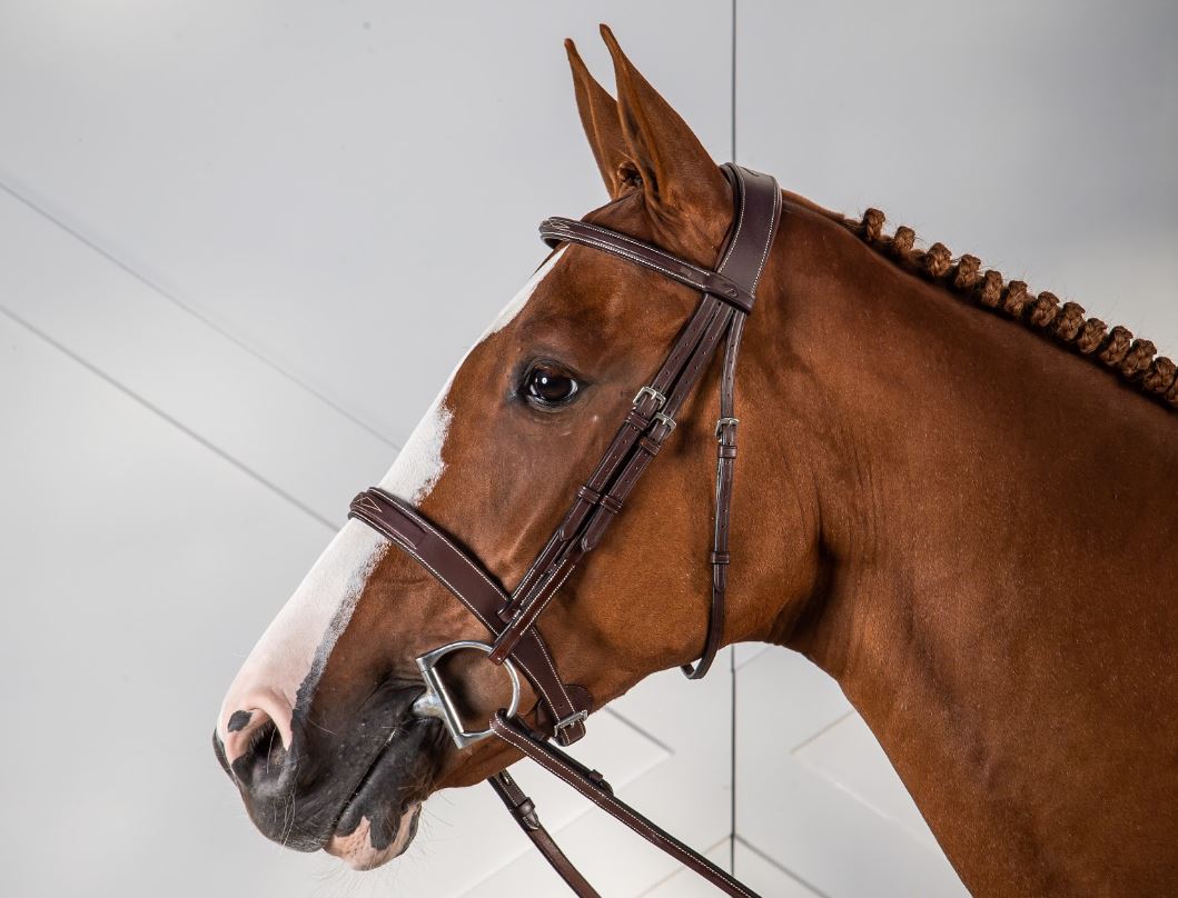 Dy'on Hunter Collection Cavesson Hunter Noseband Bridle