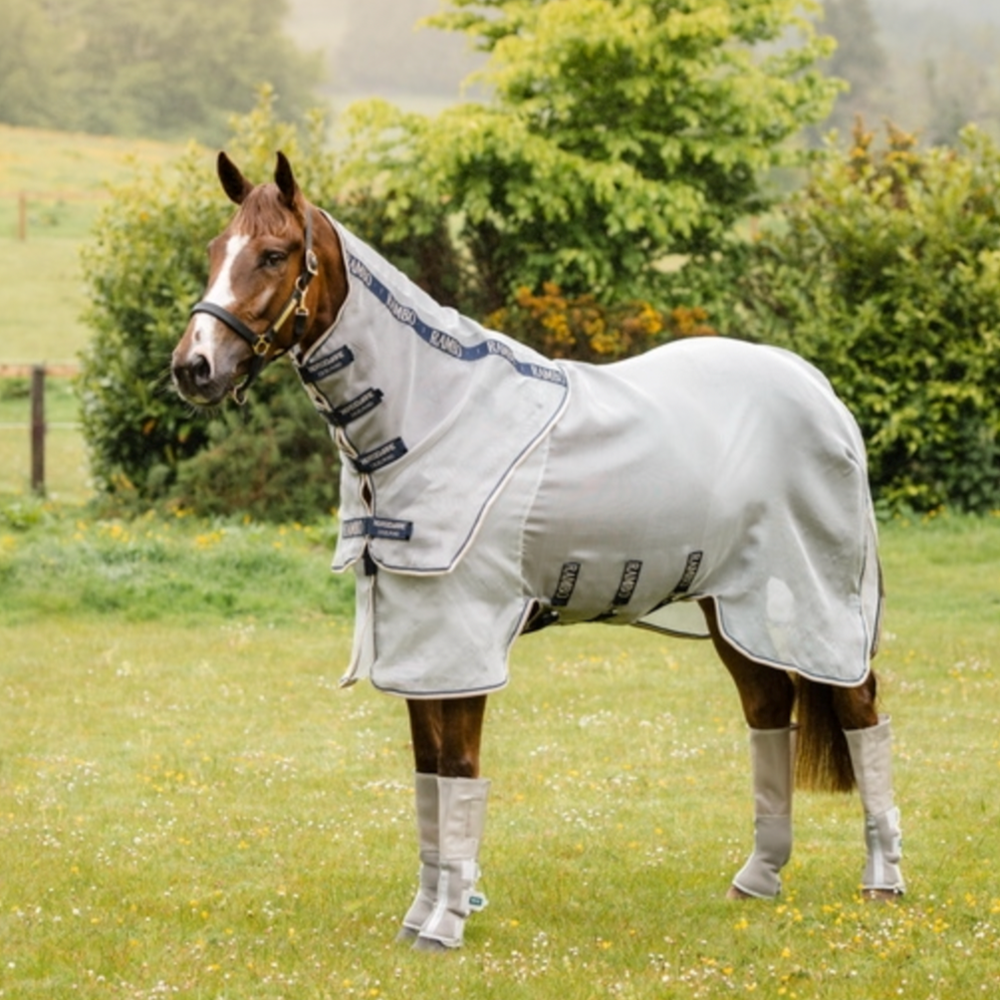 Rambo Protector Fly Rug NEW DESIGN Horse Fashion Australia