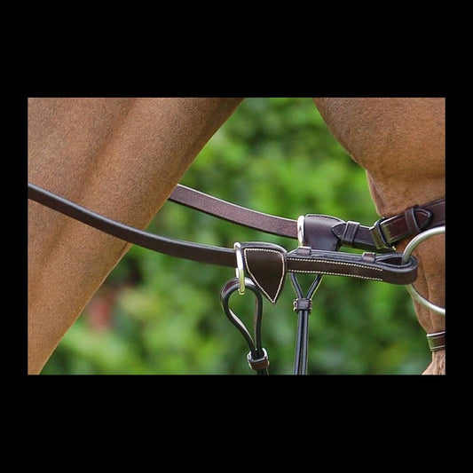 Dy'on Working Collection Web Reins with Leather Loops 5/8"