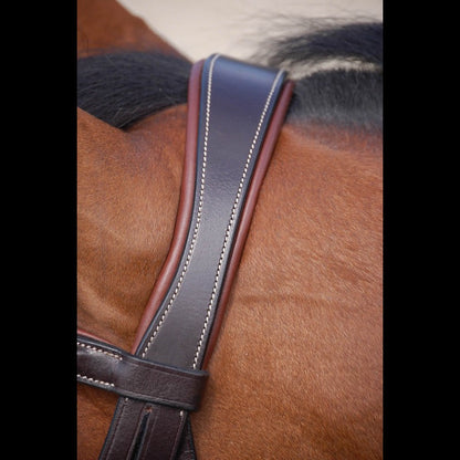Dy'on Working Collection Classic Bridle